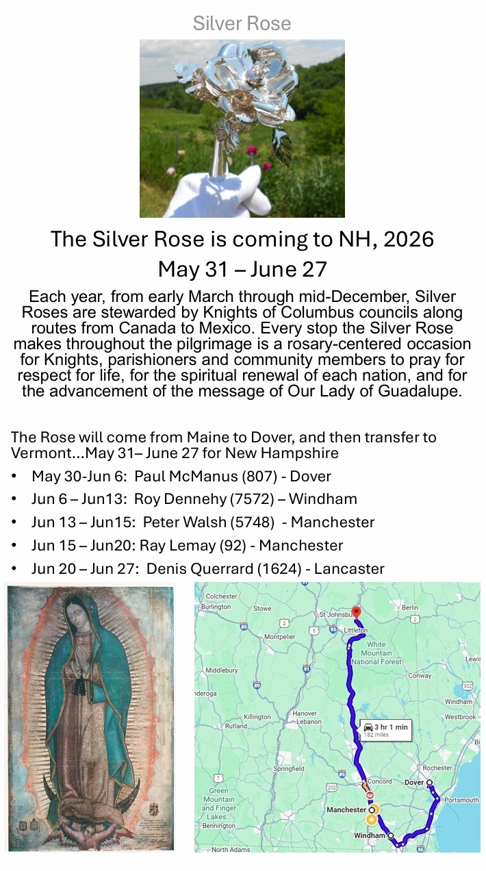 SilverRose